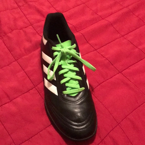 Goletto VI TF - Picture 2 of 4